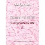 Sensazioni, riflessioni, sentimenti in “Schegge della mia vita”